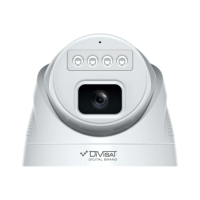 DVI-D239A.png