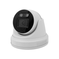 I-D252A-SD-POE-LV.png