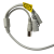 IMG_6906.png