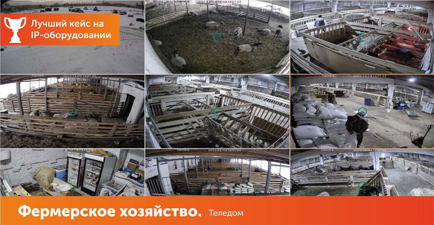 Фермерское хозяйство
