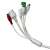 IMG_6706.png