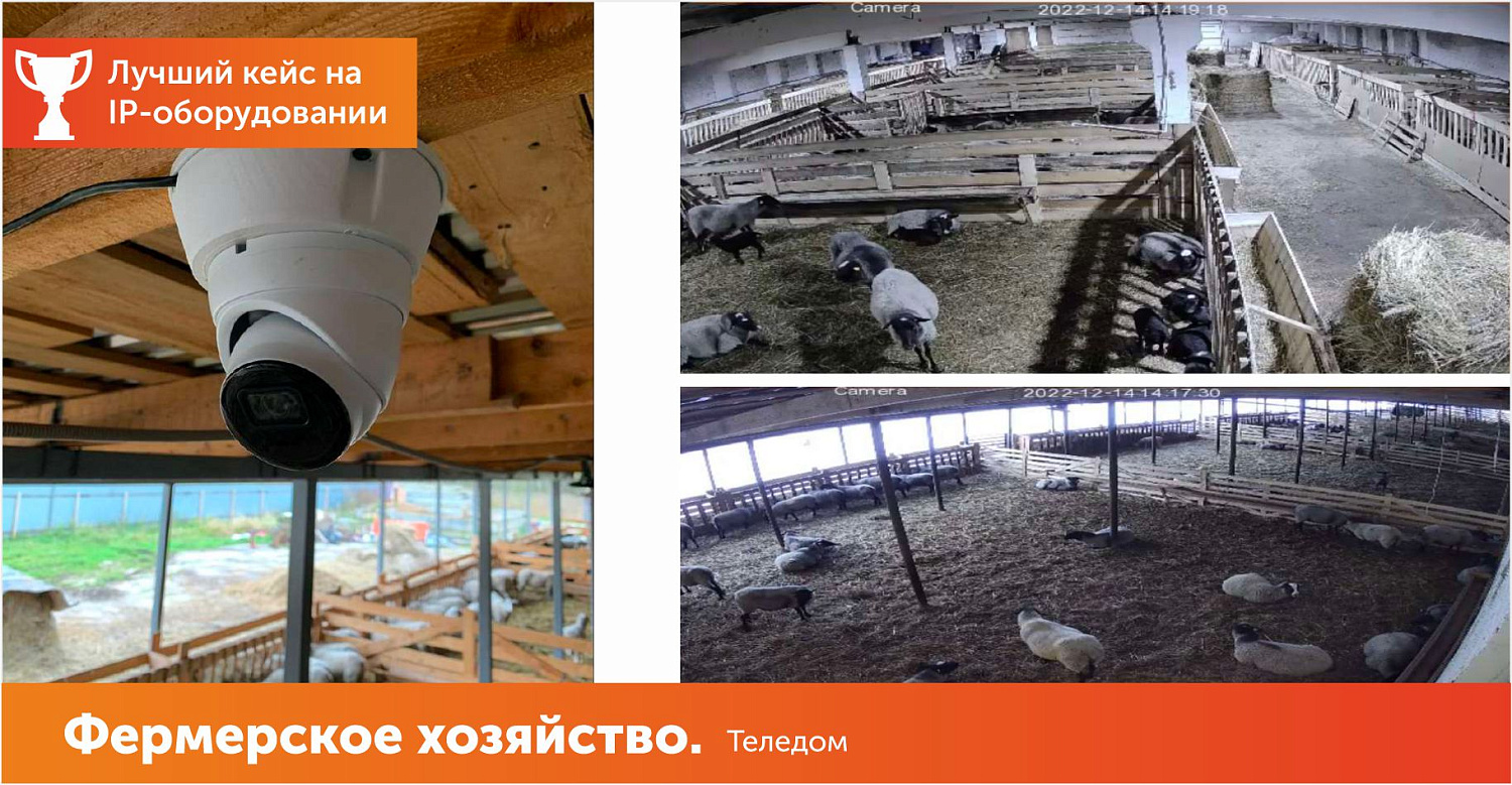 Фермерское хозяйство