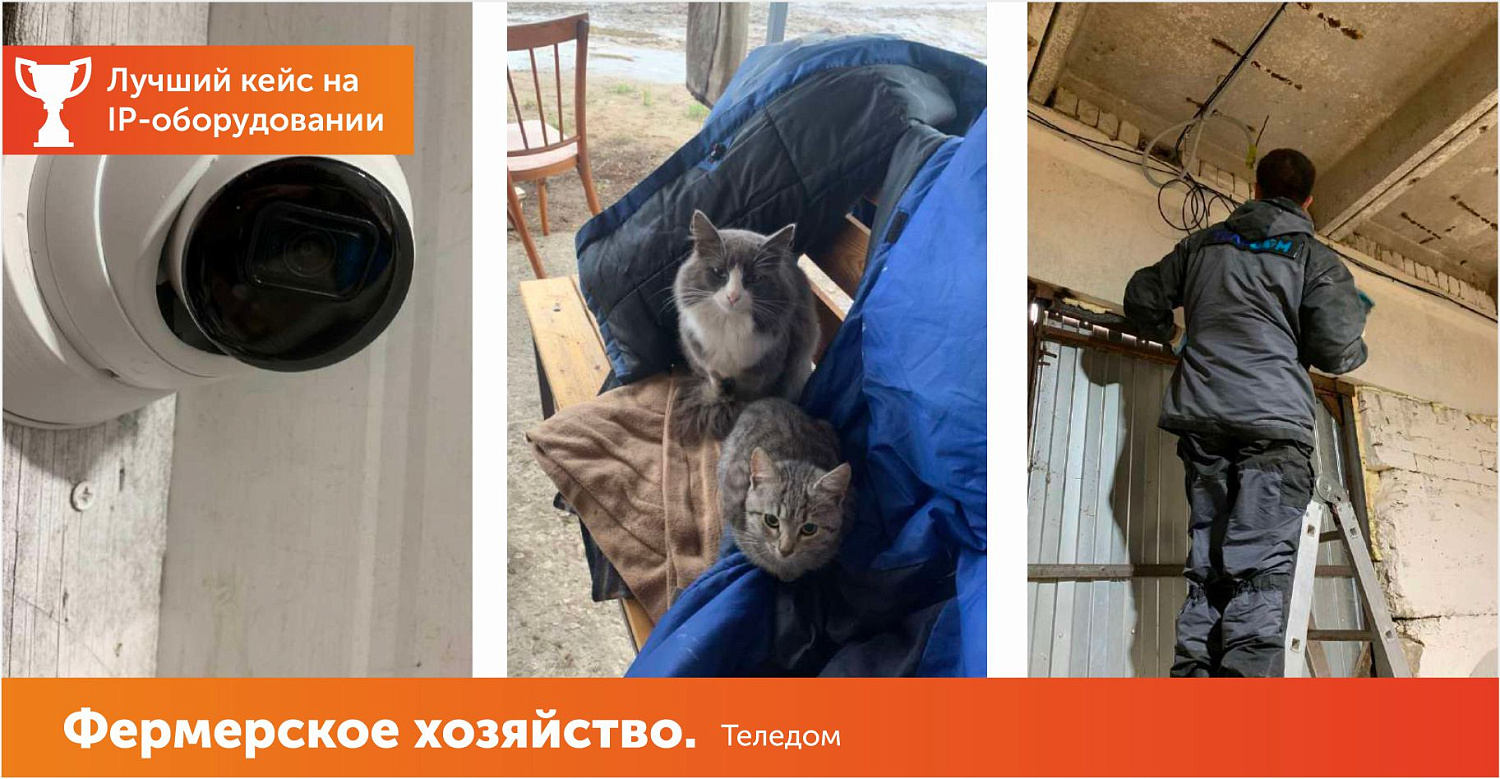 Фермерское хозяйство